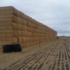 Header trailed wheaten straw  100 - 8x4x3 Bales - Sold By The Ton -