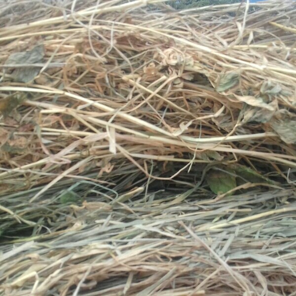 40 x Clover & Rye Grass 5x4 Round Bales 
