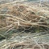 40 x Clover & Rye Grass 5x4 Round Bales 