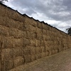 200mt Wheat Straw 570kg 8x4x3 Bales