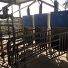 3 De Laval Robots Voluntary Milking System