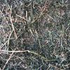 1st Cut Lucerne Big Squares