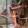 Niemeyer HR451 Tedder Rake