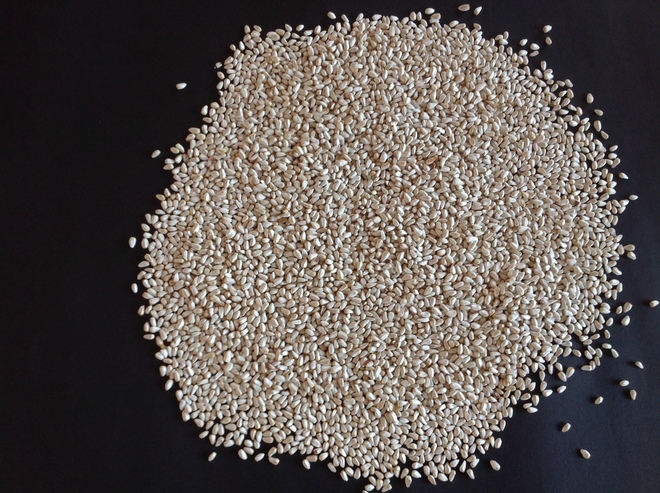 Safflower seed 