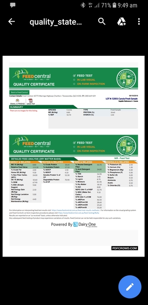 Irrigated canola hay