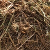 Vetch Hay Rolls For Sale