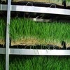 Fodder Solutions Demo Trailer