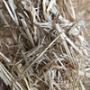 Barley straw