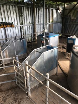 Automatic Calf Feeder - Holm & Laue - QUICK SALE!