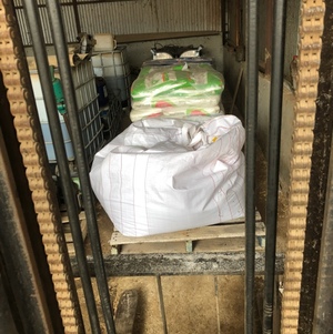 Barley seed Hindmarsh 