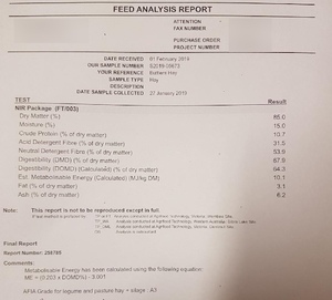100 Ryegrass & Balansa Clover Hay 400kg 5x4 Bales