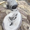 Course Wool For Sale in Bales 