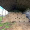 Top quality barley / lucerne hay 