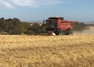 2015 Case IH 7140 Header with 40ft D65 MacDon Front