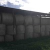 200 Rolls of Pasture Hay off Irrigation