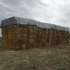200mt Canola Hay 600kg 8x4x3 Bales
