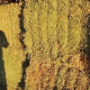 45mt Vetch Hay 730kg 8x4x3 Bales