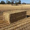 Wheaten Straw 500kg 8x4x3 Bales
