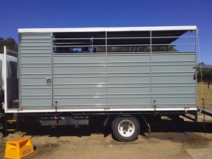 Stock crate/ Horse box