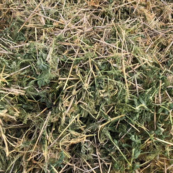 Pea Hay 720kg 8x4x4 Bales