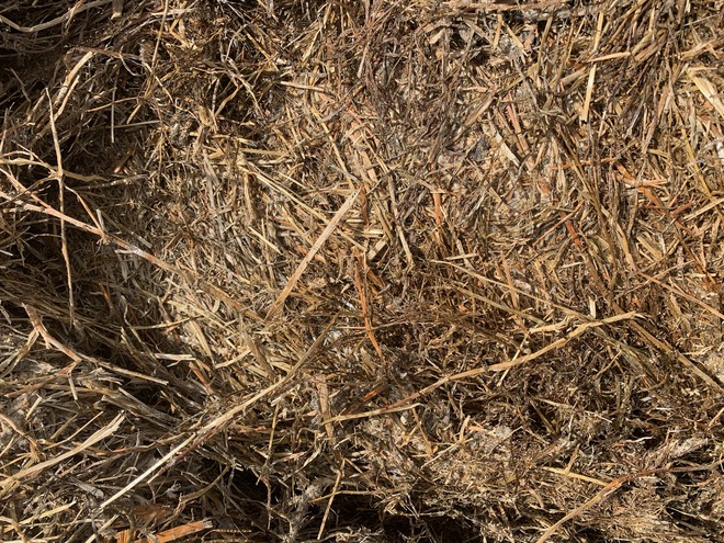 Rye/Clover & Turnip 4x4 Haylage (New Season) + Freight