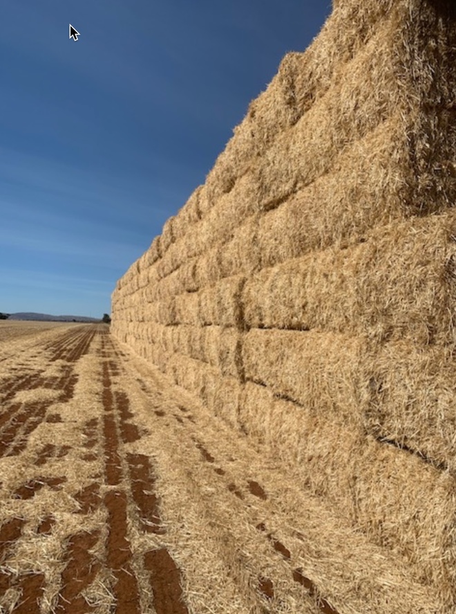 Barley Straw 8x4x3