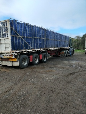 1996 Hamalex White 45ft Flat Top Convertible