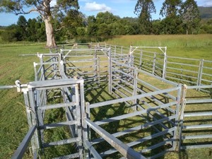 H/D Aust Gal 120 head Wild Cattle Yard (Aust Made)