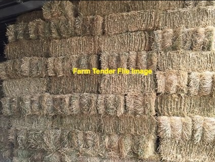 WANTED Barley Straw 