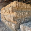 oaten hay