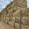 500mt Barley & Ryegrass Pasture Hay 700-750kg 8x4x3 Bales ex paddock