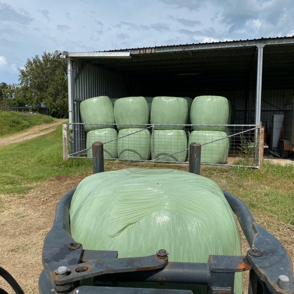 Round Bale Silage