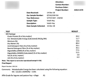 250mt Vetch Hay 700kg 8x4x3 Bales