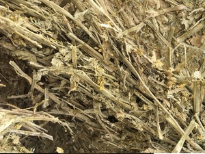 Canola Hay 8x4x3 -  440 x  700 KG Approx Bales 