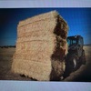 Under Auction - 200 x 5x4 Rolls  of Cereal Hay - Sold By The Ton -