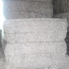 100 Bales of Header Trail Barley Straw shedded