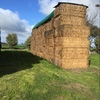 Canola Hay  2 x B Double loads