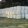320 x Silage 600kg Round Bales