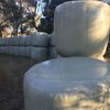 QUALITY Silage Bales For Sale