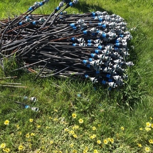 Solid set sprinklers