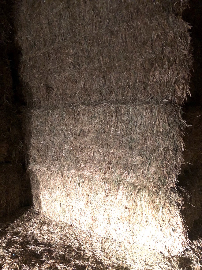 oaten hay 