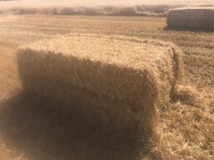 Wheat Straw Header Tailings 8x4x3