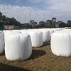 Lucerne oaten rye mix silage rolls feed tested. 