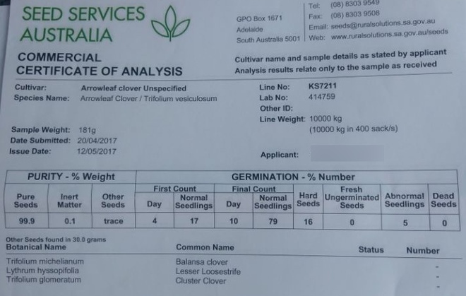 15mt Arrow Clover Seed 