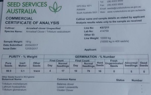 15mt Arrow Clover Seed