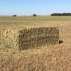 45mt Wheaten Hay 650kg+ 8x4x3 Bales