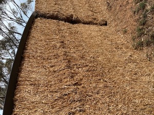 2019 Vetch Hay 8x4x3 Bales