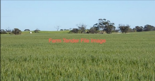 25 acres Irrigation Property for sale
