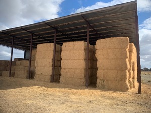Lucerne Hay - 2nd Cut Irrigated