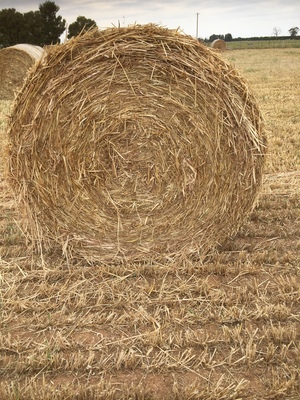 Oaten Hay Rolls  Price is per ton